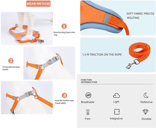 Cat Harness with Leash Adjustable Comfortable